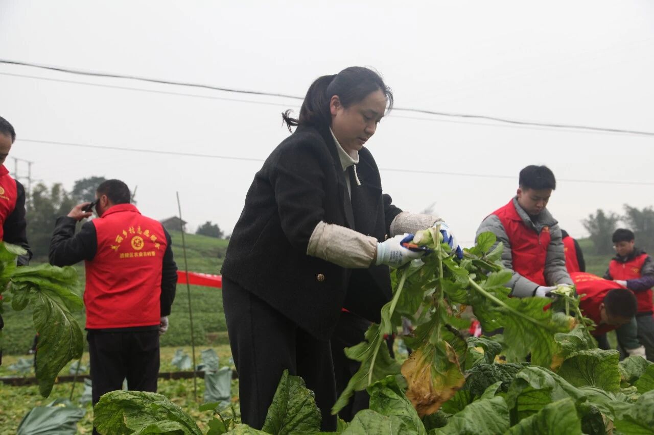 �ƶ�����3118(�й�)�ٷ���վ